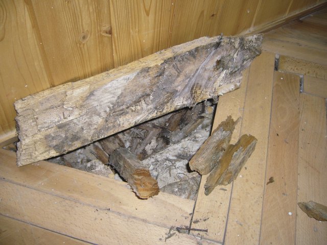 Funkční dřevěná podlaha byla zakryta parketami. Lakování parket
změnilo vlhkostní bilanci podlahového souvrství. Důsledkem
zvýšené vlhkosti jsou hniloba a plísně, následně houby
