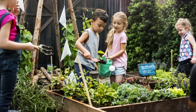 Komunitní zahrady mohou plnit i edukativní funkci. Zahradníky se mohou stát třeba děti z mateřských škol. Foto: Rawpixel.com
