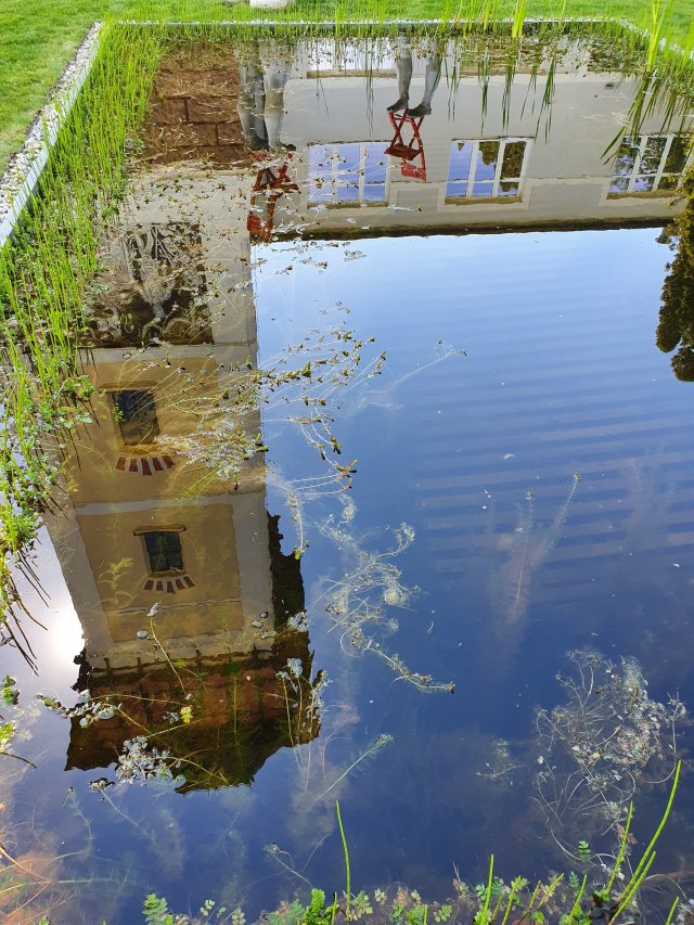 Koupací jezírko pod Vodárenskou věží v Českých Budějovicích je příkladem nádrže bez techniky, v níž je čistoty vody dosahováno pomocí zooplanktonu a sedimentací. Zdroj: Asociace biobazénů a jezírek při Svazu zakládání a údržby zeleně