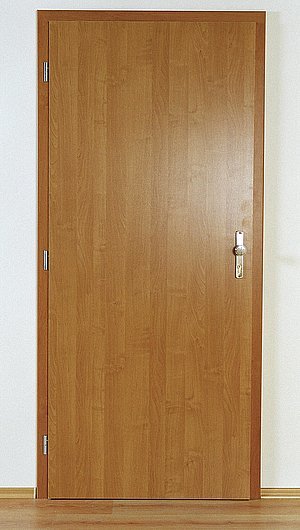Protipožátní dveře