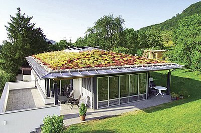 Vydařená kombinace architektury a zeleně u střechy Optigreen