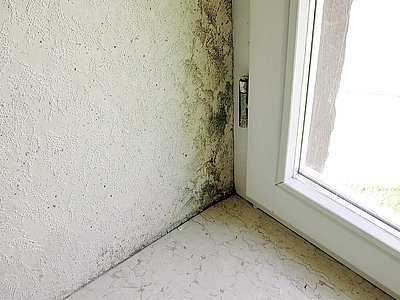 Obr. 1: Plíseň je v okolí napojení okna k ostění je nejčastěji důsledek nesprávné provedené připojovací spáry, která je netěsná a špatně tepelně izoluje.
