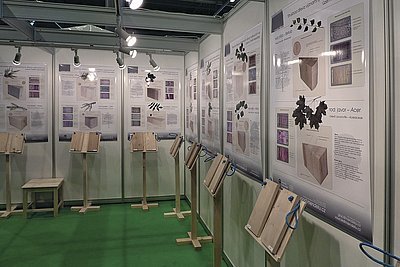 Expozice k soutěži Poznejte naše dřevo