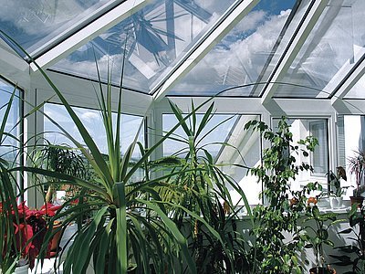 I pro tropické a subtropické rostliny je třeba v zimní zahradě zajistit kromě dostatku světla také dokonalé stínění