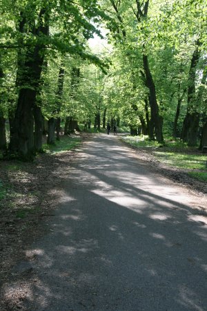 Město Náchod je zasazeno do kopcovitého lesoparku, jímž protéká řeka Metuje. Pro studium, kulturní a sportovní vyžití či turistiku ideání místo.