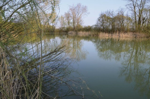 Malá vodní nádrž biocentrum Kaltouz v okrese Hradec Králové