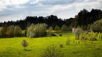 Ze střechy CEA je vidět galerie v přírodě jako celek s výtvarnými díly, které propojuje síť cest a průhledů.