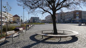 Kruhová lavice okolo stromu