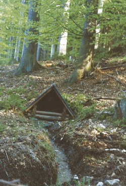 Studánka v Brdech (Archiv autora)