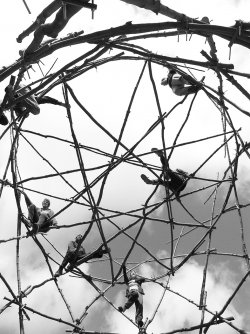 Strukturální konstrukce z kmínků, foto: David Kubík