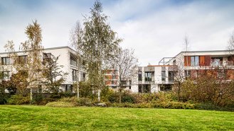 Pohled ze sousední zahrady