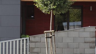 Pohled z ulice &ndash; detail