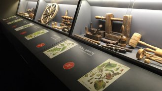 Expoziční komplet-vitrina-poznávání dřevin-lesní slabikář