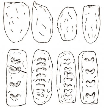 První cihly tvarem připomínaly bochník chleba případně rybí kost.