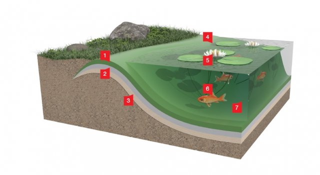 Řez systémem – izolace jezírek a vodních ploch: 1 - AQUAPLAST 805 (805/V, 805/V-F), 2 - Separační textilie, 3 - Pískový podsyp, 4 - Zahradní jezírko, 5 - Leknín bílý, 6 - Kapr obecný, 7 - H2O