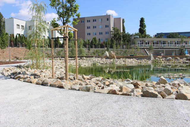Vodopropustný beton na chodnících v parku ve spojení s jezírky je jedním z efektivních prostředků snižování efektu městského tepelného ostrova. (Zdroj: ZAPA beton, a. s.)