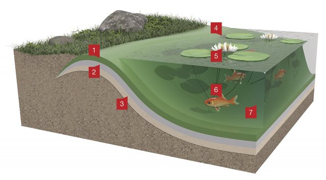 Řez systémem FATRAFOL-A – izolace jezírek a vodních ploch: 1 – AQUAPLAST 805 (805/V, 805/V-F), 2 – Separační textilie, 3 – Pískový podsyp, 4 – Zahradní jezírko, 5 – Leknín bílý, 6 – Kapr obecný, 7 – H2O.