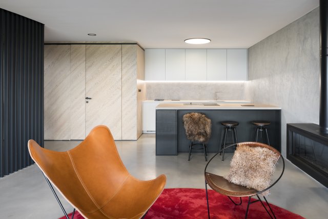 Interiérový styl kombinuje prvky minimalismu (například nábytek v kuchyni a zabudovaná skříň vedle) a industriálu (surové stěrky a štuky na podlahách a stěnách, lamelová příčka) s několika výraznými doplňky (schodiště či koberec, případně designový nábytek). 