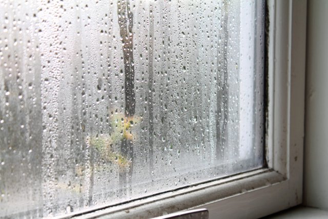 Okna s dvojsklem se většinou rosí na interiérové straně okna, okna s trojskly hlavně zvenku. Rosení oken zvenku je známkou jejich vyšší tepelněizolační kvality. Důvod rosení je, že povrchová teplota okna je nižší, než teplota rosného bodu přilehlého vzduchu. Autor: P. Qvist, Shutterstock