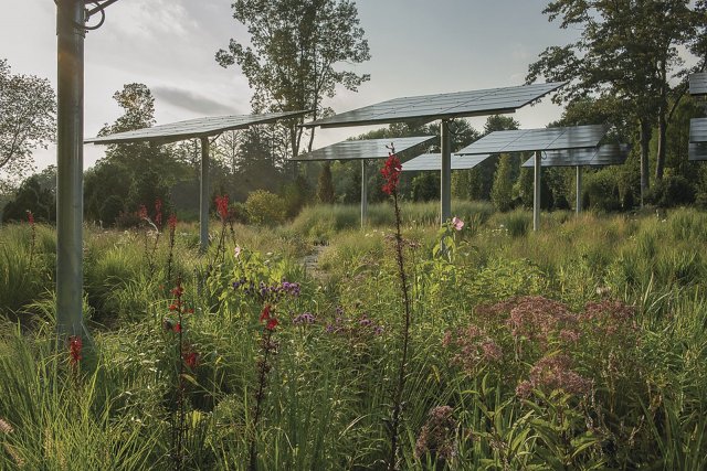 Soukromá zahrada v obci New Canaan v USA je doplněna fotovoltaickými moduly (foto: Brian Grubb)