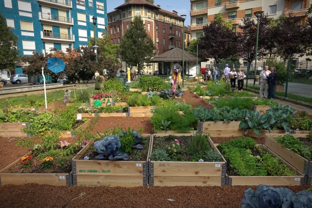 Ve městech je možné přiblížit se permakulturnímu směru vybudováním komunitní zahrady. Autor: MikeDotta, Shutterstock