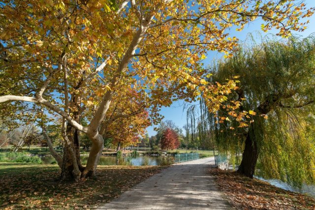 Pohled do nitra Královské obory Stromovka