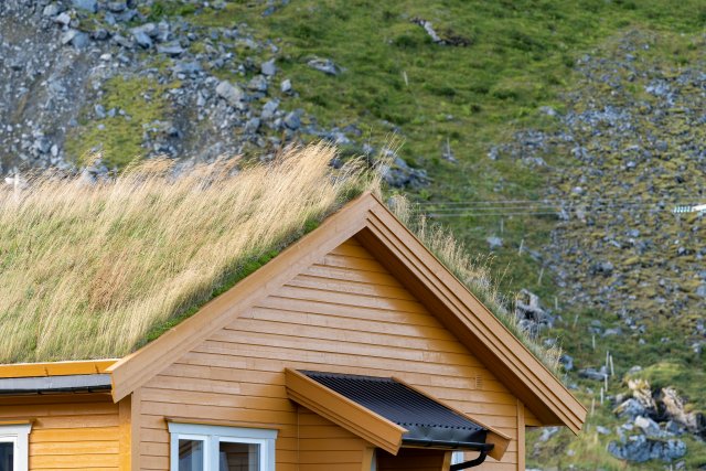 Zelené střechy nalézají v našich zemích čím dál větší uplatnění. autor: brizmaker