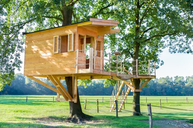 Dům na stromě se stane druhým domovem každého dítěte. foto: Ben Schonewille, Shutterstock