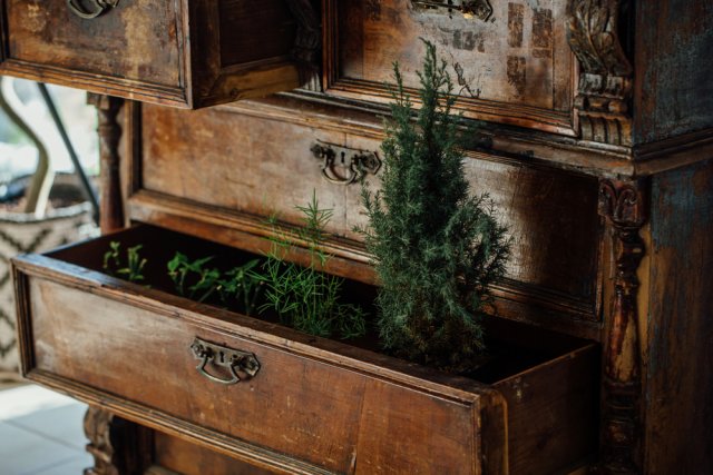 Nebojte se ani netradičních rostlinných dekorací... Zdroj:vhpicstock, Shutterstock