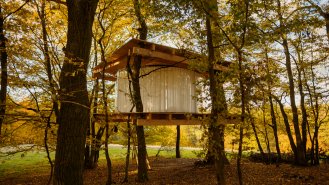 Tree House je tvořen dvěma dřevěnými platformami, které jsou zavěšeny nezávisle na sobě. Strop nese svěšený dřevěný prstenec, na kterém je zavěšený transparentní plášť. Druhý vodící prstenec je připevněn k podlaze. Do objektu se vstupuje po padacích schodech. Objekt vznikl na základě jednoduché skicy a zaměření stromů. Finální podoba tedy byla z velké části určena až přímo při stavbě. Objekt může po dohodě navštívit kdokoliv.