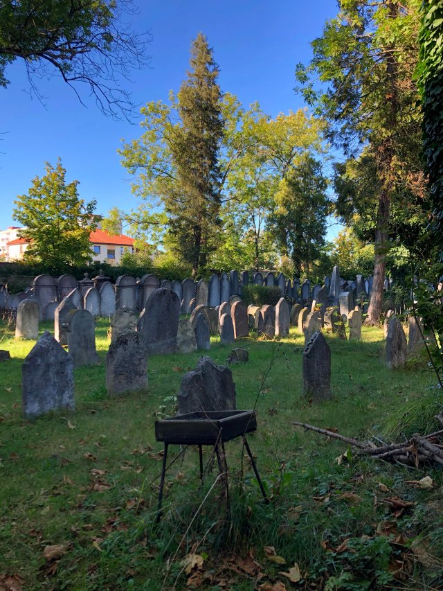 Židovský hřbitov je více než 400 let starý. Foto: Helena Široká