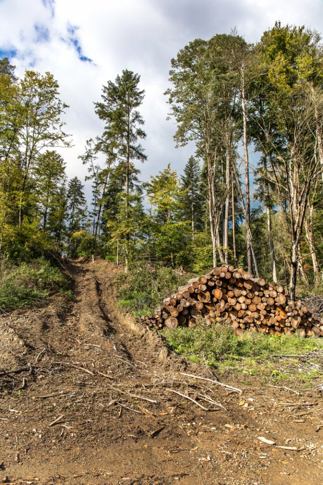 Těžká technika, jako jsou traktory a vyklízecí soupravy, narušuje a znečišťuje půdu a snižuje její schopnost zadržovat vodu.Foto: Marsan, Shutterstock