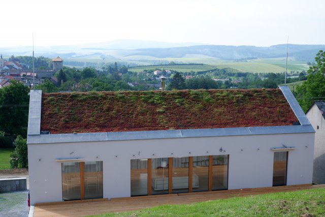 Extenzivní zeleň na střeše v moravských Střílkách.