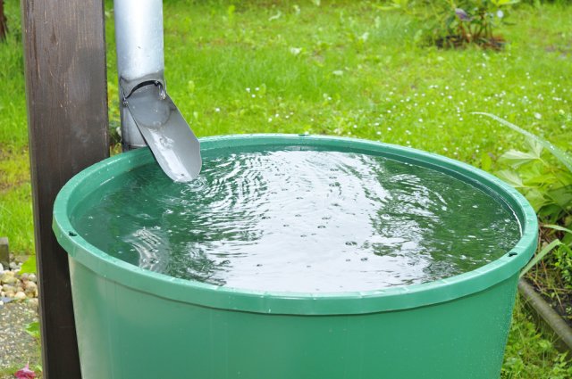 Nezbytné je v zahradě umístit i dostatek nádrží k akumulaci dešťové vody. Foto: Karin Jaehne 