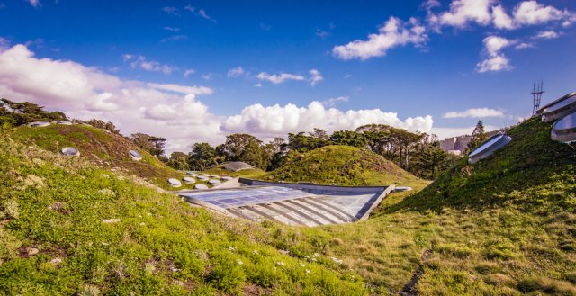 Vegetační střechy pohlcují prach, tlumí hluk, zadržují vodu, která by jinak odtekla do kanalizace, a vracejí ji zpět do ovzduší, současně tak zvyšují vlhkost vzduchu ve svém okolí. Foto: Gregory Zamell, Shutterstock