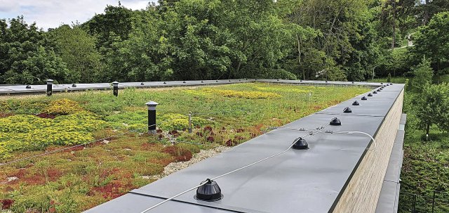 Mezi biotechnická opatření projektu KVOP patří realizace všech plochých střech jako zelených. Zavlažovány jsou převážně zachycenou dešťovou vodou. Foto: archiv Ing. Lukáše Daňka, Ph.D.