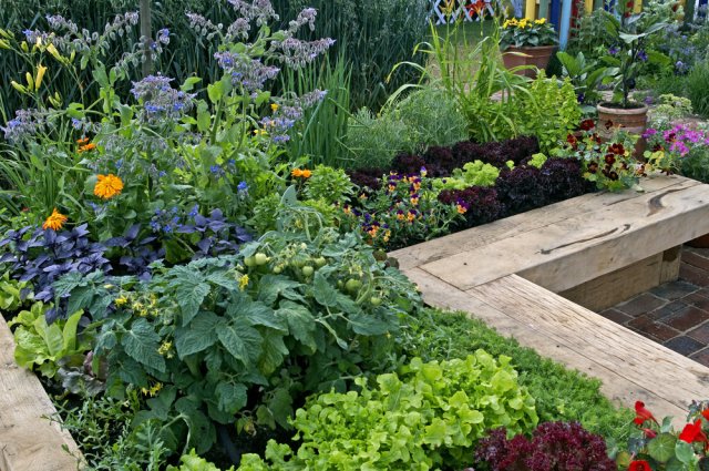 Nebojte se kombinovat zeleninu a okrasné květy. Nebudete litovat. Foto: Gardens by Design, Shutterstock