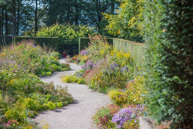 Pestrá zahrada je prosperující zahrada. Foto: RichardSt, Shutterstock