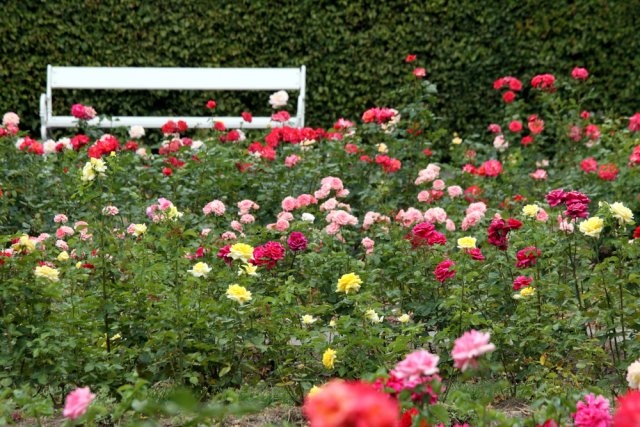Prvorepublikovým zahradám vévodily doplňky a drobné stavby, jako pergoly, zahradní lavičky či sochy. Zdroj: Alessandro De Maddalena, Shutterstock