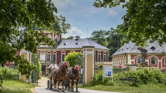 Foto: archiv zámku Veltrusy