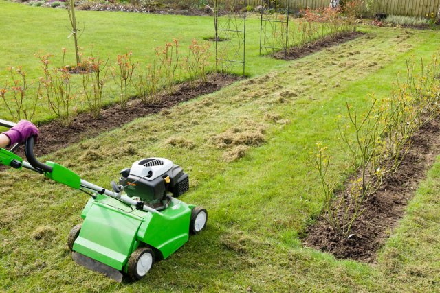 Při absenci sněhové pokrývky jsou trávníky vystaveny nejen holomrazům, ale také výraznému suchu. Vertikutace napomáhá minimalizovat jeho nepříznivé důsledky. Zdroj: Paul Maguire