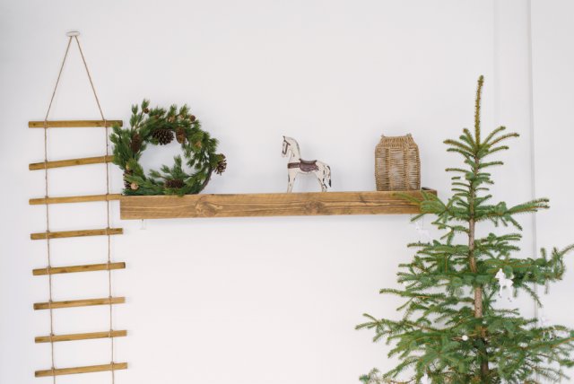 Ani v přírodě není vše symetrické. Proč tedy hledat dokonalost při koupi vánočního stromku? Zdroj: Chamomile_Olya, Shutterstock