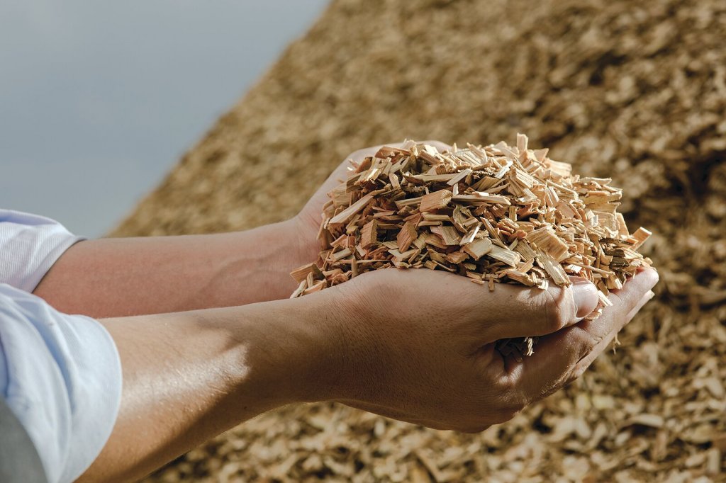 Biomasa Jako Ekonomick A Ekologick E En Vyt P N Stavebnictvi Cz