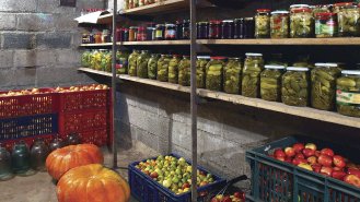 Díky sklepu získáme větší svobodu při uchovávání ovoce a zeleniny, potravin, které patří do chladu a temna, různých nápojů, balené vody apod. (foto Grandpa, Shutterstock)