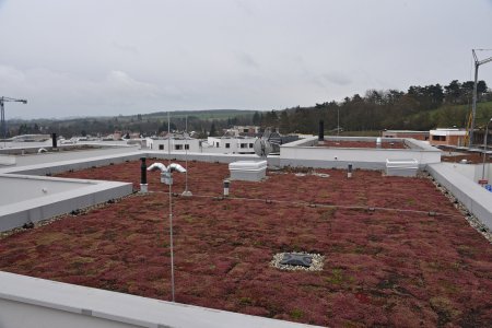 Zelená střecha na rodinném nebo řadovém rodinném domě nabízí krom jiných předností také velmi účinnou a spolehlivou ochranu proti letnímu přehřívaní domu