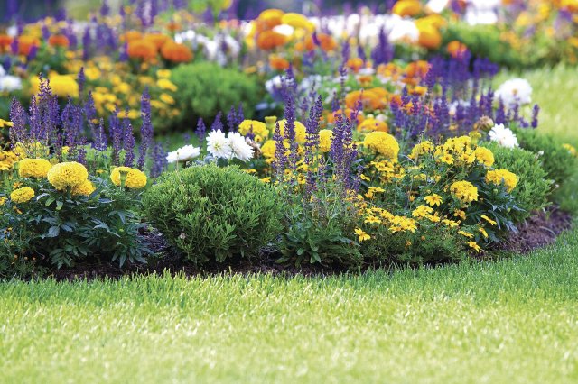 Možná jste se nad tím ani nikdy nezamysleli, ale rozkvetlá a rozmanitá zahrada má velkou ekologickou hodnotu. Je lákadlem pro mnoho druhů užitečného hmyzu. Foto: dvoevnore, Shutterstock
