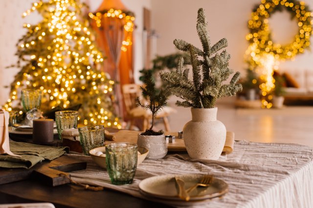 Skleničky v tmavě zelené barvě jsou elegantní dekorací, která dokonale ladí se zimní atmosférou a dodává prostoru stylový nádech. Zdroj: Chamomile_Olya, Shutterstock