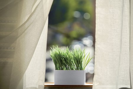 Lněné závěsy jsou v létě ideální volbou. Foto: Alekszhar, Shutterstock